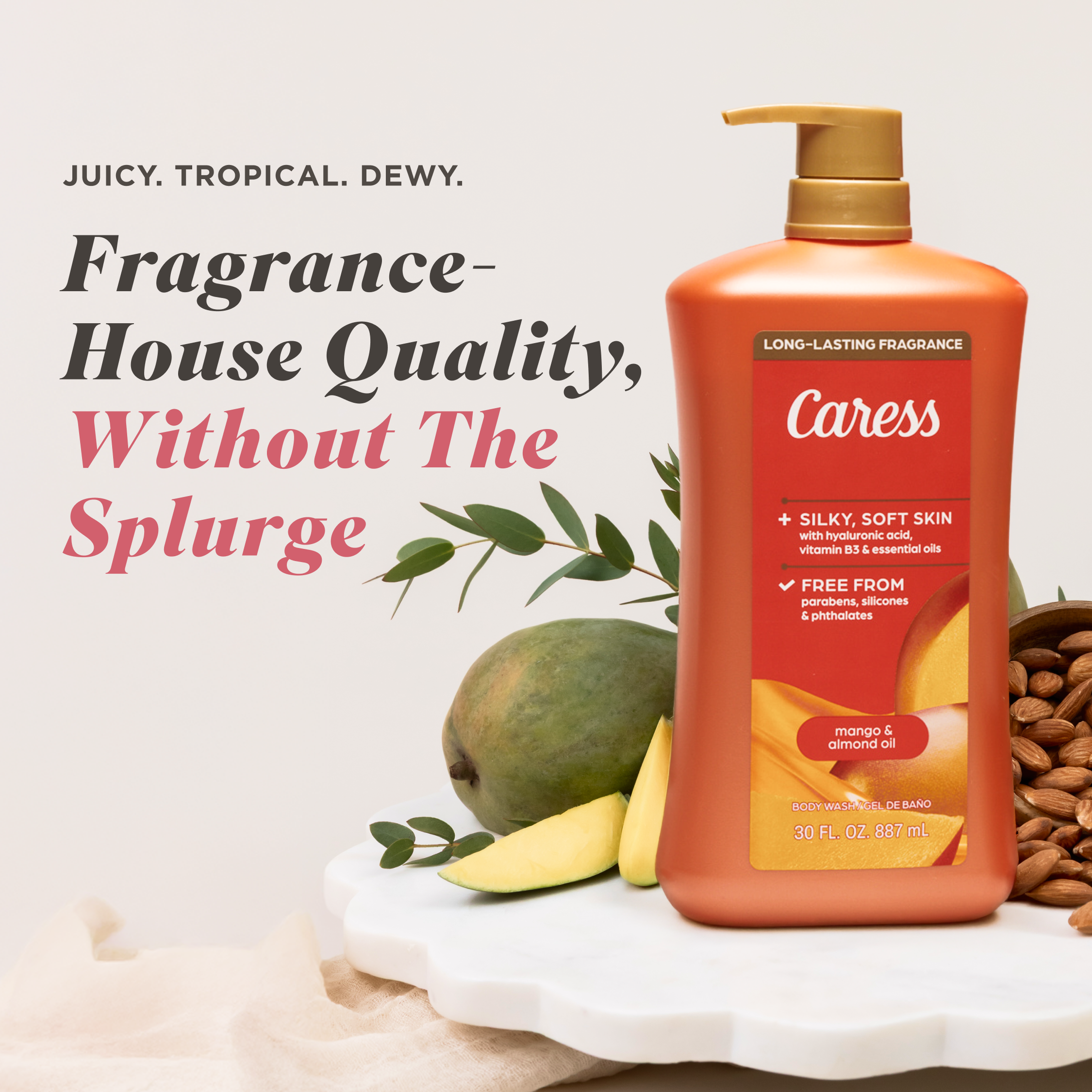 Mango Almond Oil Body Wash with Pump – Caress US